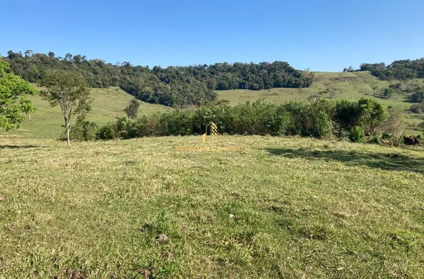 Área 2.6 alqueires com pastagem pronta no Marcianópolis