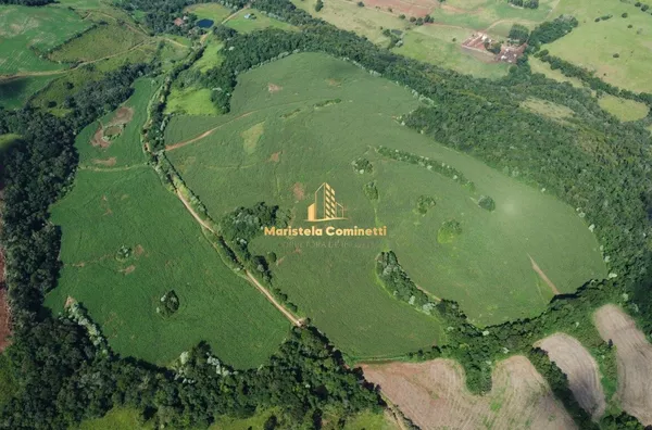 VENDE-SE 25,3 ALQ EM SANTO ANTÔNIO DO SUDOESTE 