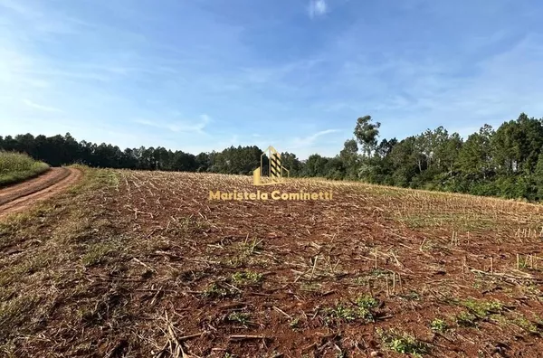12,2 alqueires à venda em Planalto