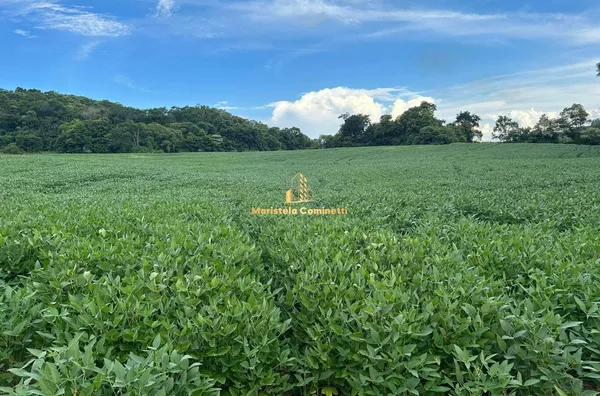 6 ALQUEIRES À VENDA EM SÃO PEDRO DO FLORIDO