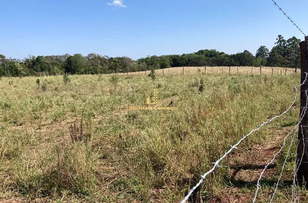 Sítio para venda a 2 KM de Santo Antônio do Sudoeste