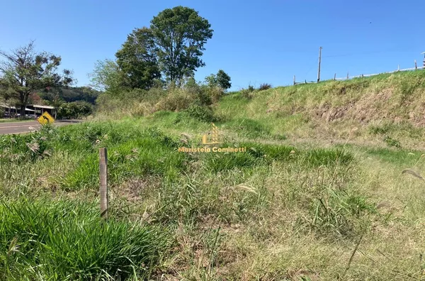 Sítio para venda a 2 KM de Santo Antônio do Sudoeste