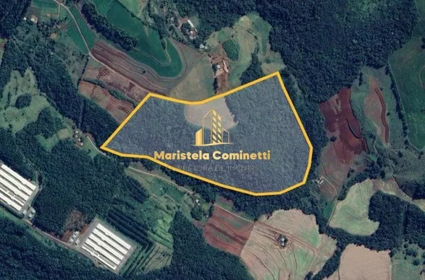 12,2 alqueires à venda em Planalto