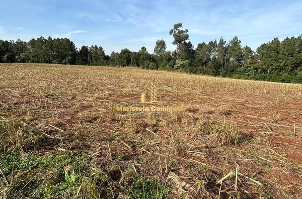12,2 alqueires à venda em Planalto