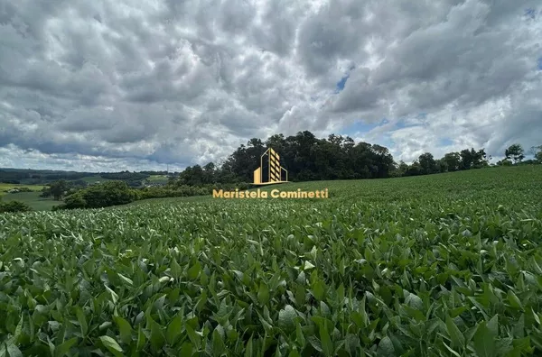 CHÁCARA AO LADO DA CIDADE COM 30.000m² Em Santo Antônio do Sudoeste