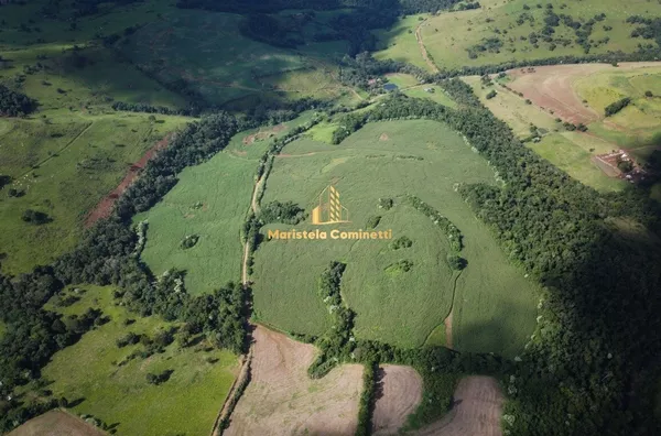 VENDE-SE 25,3 ALQ EM SANTO ANTÔNIO DO SUDOESTE 