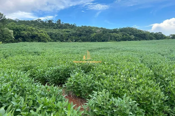 6 ALQUEIRES À VENDA EM SÃO PEDRO DO FLORIDO