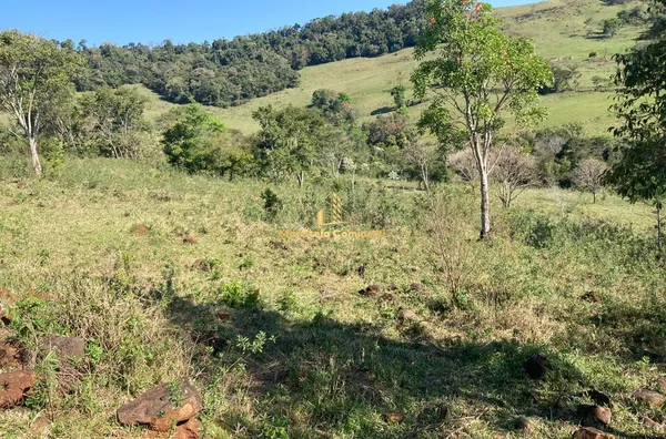 Área 2.6 alqueires com pastagem pronta no Marcianópolis