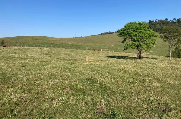 Área 2.6 alqueires com pastagem pronta no Marcianópolis