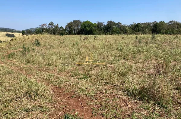 Sítio para venda a 2 KM de Santo Antônio do Sudoeste