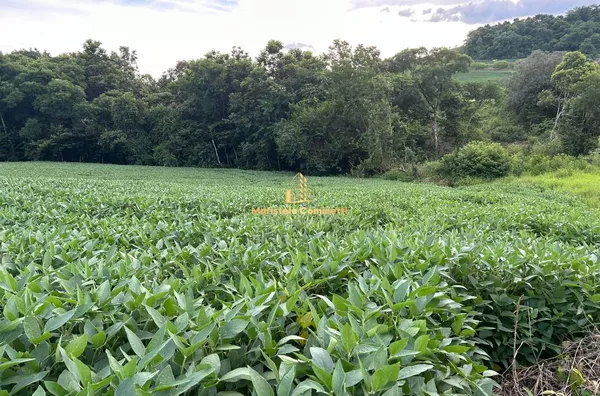 6 ALQUEIRES À VENDA EM SÃO PEDRO DO FLORIDO