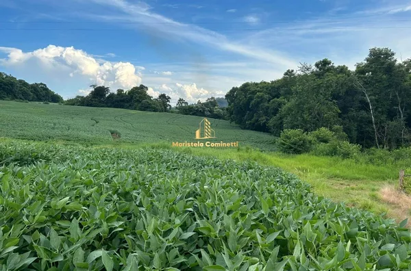 6 ALQUEIRES À VENDA EM SÃO PEDRO DO FLORIDO