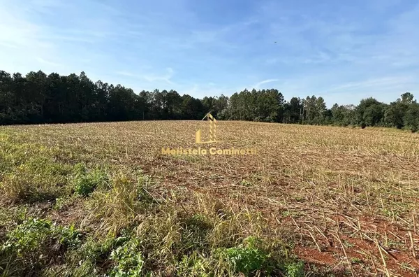 12,2 alqueires à venda em Planalto