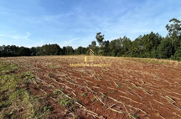 12,2 alqueires à venda em Planalto