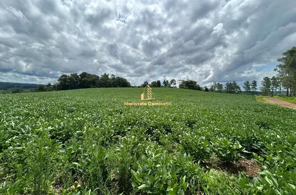 CHÁCARA AO LADO DA CIDADE COM 30.000m² Em Santo Antônio do Sudoeste
