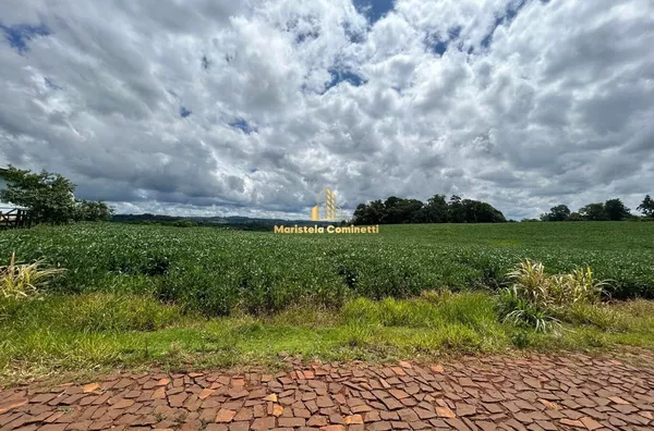 CHÁCARA AO LADO DA CIDADE COM 30.000m² Em Santo Antônio do Sudoeste
