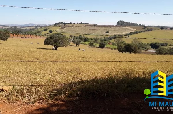 Sítio - Bairro Limeira