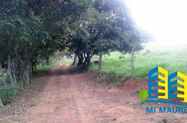 Terreno - Bairro Curralinho