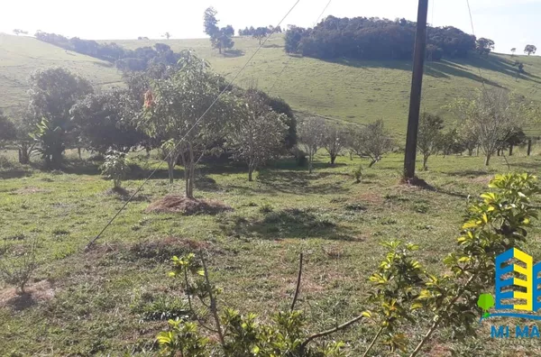 Chácara - Bairro Limeira