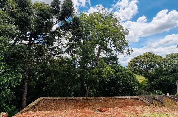 Terreno divisa com Reserva, Bairro La Salle com Projetos 