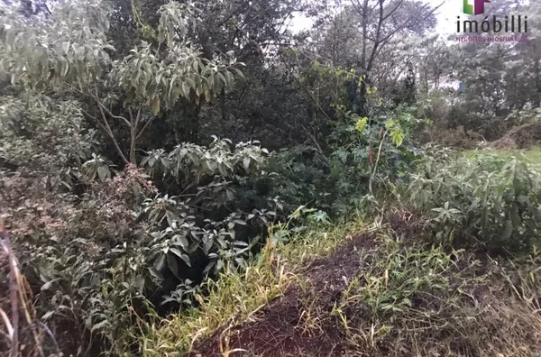 Terreno com fundos para Reserva